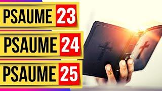 Psaume 23, Psaume 24, Psaume 25: Psaumes pour Dormir (Les Psaumes Puissants)(Versets Bibliques)