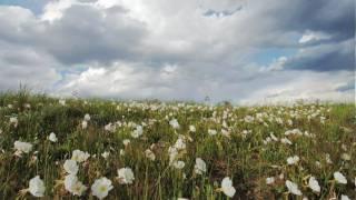 Discover America's heartland, the Great Plains