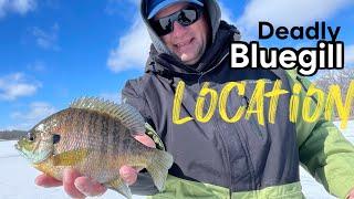 Deadly Bluegill Location | Find Big Bluegill