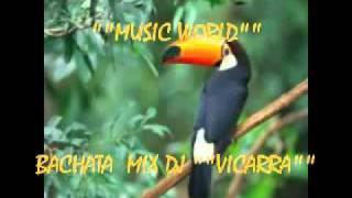 bachata mix  music world dj viscarra.flv