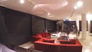 Our SHOWROOM - Marelli