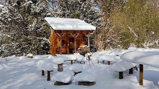 WINTER LIFE AT OUR WOODS & COZY OFF GRID CABIN