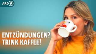 Entzündungen im Körper ade? So geht antientzündliche Ernährung | Dr. Julia Fischer | ARD Gesund