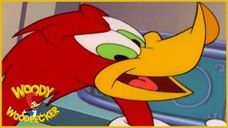 Woody Woodpecker | Woody Woodpecker laugh - Try not to laugh! | | Kids Cartoon | Videos for Kids