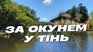 Відео за окунем у тінь