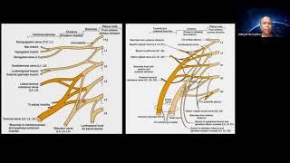 Dr. Jeimylo de Castro talks about MSK US of the Lower Extremity Nerves and its Entrapments