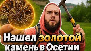 «ПИРИТОВАЯ ЛИХОРАДКА В ОСЕТИИ: Охота на ЗОЛОТЫХ АММОНИТОВ!»