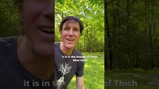 What I found walking alone through Blue Cliff Monastery…
