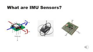 What is IMU ?