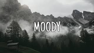 The Weeknd Type Beat - Moody ft. Ariana Grande Type Beat | Trap Pop Type Beat 2021