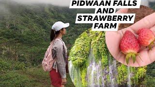 Tourist Spot Don Vic Misamis Occidental/Pidwaan Curtain Falls/Strawberry Farm/.