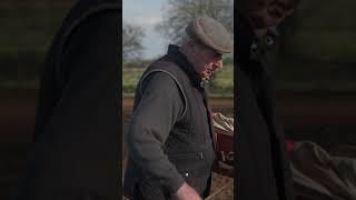 Sowing  seed with a corn fiddle