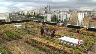 French posties transform Paris rooftop into picturesque farm