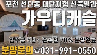 포천 선단동 신축빌라 [가우디캐슬] 준공전 벌써 잔여세대 !!??