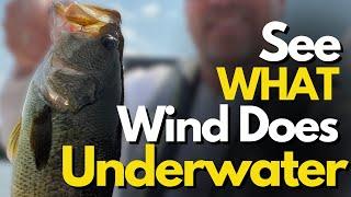 Underwater Footage of HOW Wind Affects Bass Fishing