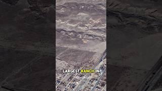 It was the Largest Ranch In The World! #xit #xitranch #ranch #cattle #cowboy #texas #panhandle