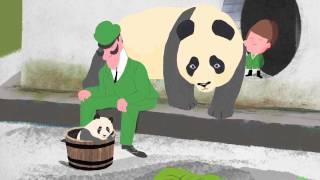 'Pandamonium at Peek Zoo' by Kevin Waldron
