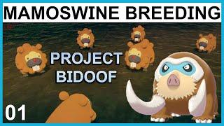 Breeding a Lead MAMOSWINE - Project Bidoof Part 1 - Pokemon Breeding Guide