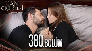 Kan Çiçekleri 380. Bölüm