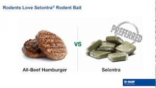 Selontra® Rodent Bait Webinar