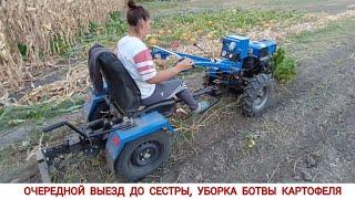 ГРАБЛИ ДО МОТОБЛОКА , ОЧЕРЕДНОЙ ВЫЕЗД ДО СЕСТРЫ , УБОРКА БОТВЫ КАРТОФЕЛЯ / HARVESTING POTATO TOPS