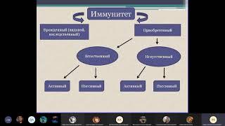 Иммунитет часть 1 | Микробиология