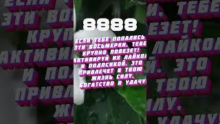 Что стоит у знаков зодиака на первом месте   lrbailey79  #астрология #знакизодиака #astrology