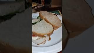 Eating Oscar Mayer Deli Fresh Smoked Turkey Breast, Dbn, MI, 12/11/23