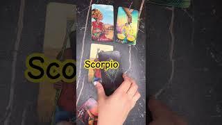 Scorpio ️ Brand new Marriage proposal is coming for you #tarot #scorpio #scorpiotarot #ienigma