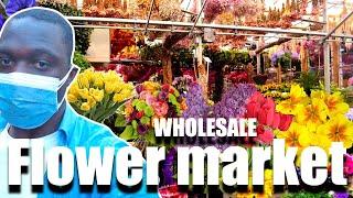 wholesale flower market tour in Shanghai | Easy Trade Africa