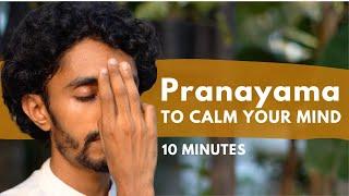 10 minute Pranayama to Calm your Mind 