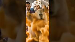 Capybara belly rub on board - beer foam edition. #capybara #cute #funny #animals #カピバラさん #카피바라