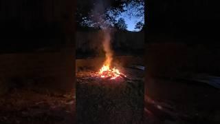 watch - my backyard ring of fire - fun YouTube shorts entertainment