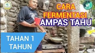 CARA FERMENTASI AMPAS TAHU BISA BERTAHAN 1 TAHUN UNTUK PAKAN TERNAK DAN AYAM ANDA