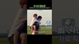 위시네 말 농장 #nctwish