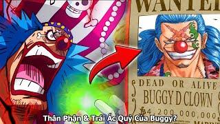 Tại Sao Buggy D. Clown Lên Tứ Hoàng? | THÂN PHẬN VÀ TRÁI ÁC QUỶ ĐÃ THỨC TỈNH !!