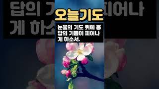 오늘의 기도 / 아침기도 / 오늘을 여는 기도 / 짧은기도