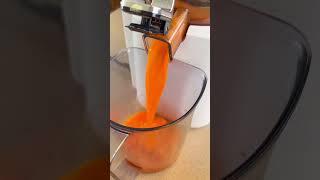 Ep.3 | Cold Pressed Juicing #juice #juicer #juicing #juicerecipe #coldpressed #juicingtutorials #gut