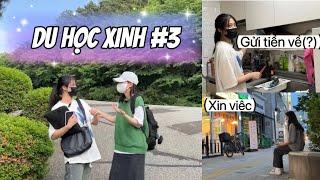 [Du học xinh #3] Trải nghiệm thực tế đi xin việc làm thêm ở Hàn: mức lương, người Hàn hỏi gì..?