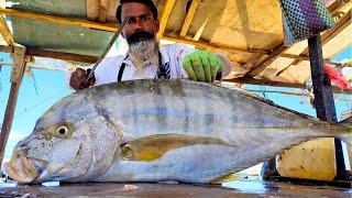 Huge Golden Trevally Fish Cutting Skills