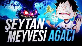 ŞEYTAN MEYVESİ AĞACI! | ONE PİECE 1131. BÖLÜM İNCELEMESİ