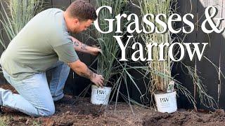 Planting Firefly Yarrow & Totem Pole Grasses || Visit Our Garden