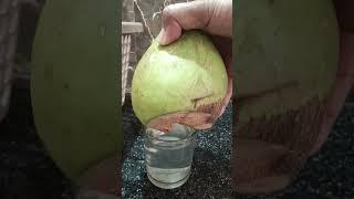 #helthy coconut  water#trending#vairal#1millon