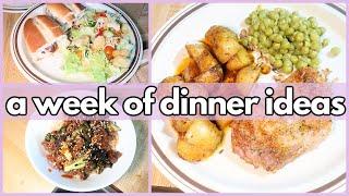 SIMPLE WEEK NIGHT DINNERS MY FAMILY LOVES | What’s For Dinner? #355 | 1-WEEK OF REAL LIFE MEALS