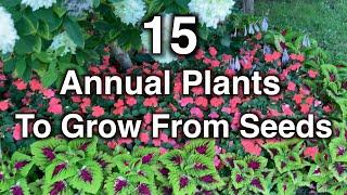 15 Annual flowers you should grow from seeds. This is why!