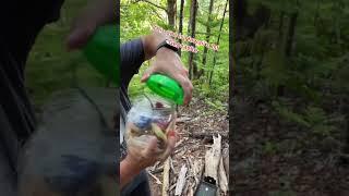 Hawaii’s OLDEST Geocache #geocaching