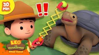 FETCH THE BALL, TORTOISE!  | Hardest Shells  | Leo the Wildlife Ranger | Kids Cartoons