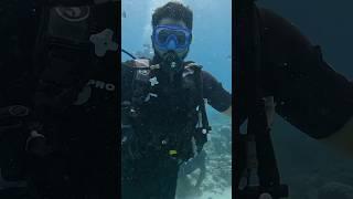 Scuba @ Mauritius