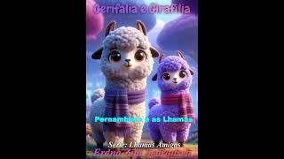 e-Book - Pernambuco e as Lhamas - #ErdnaZiulSedranreb #eBook #Amazon #Gerifalia #Girafilia