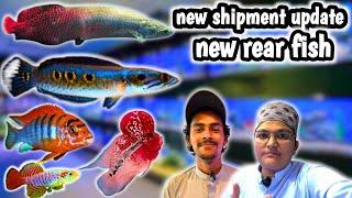 New Rare Fish Shipment Unboxing | Exotic Aquarium Fish Update 2025 aquatic house lalukhet wholesale